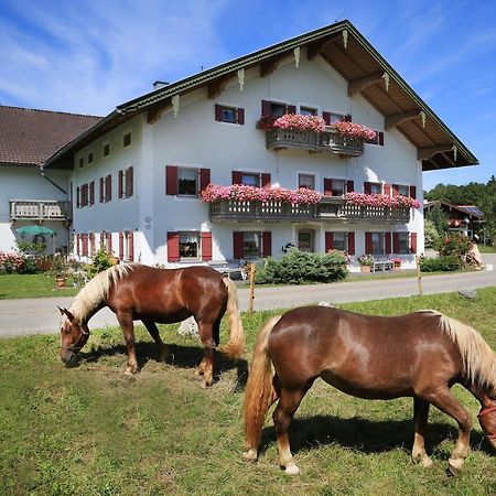 Heutauer Hof Villa Siegsdorf Exteriör bild